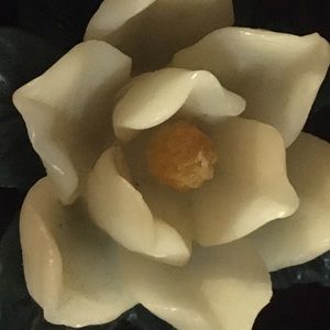 Meet your Posher, Annette